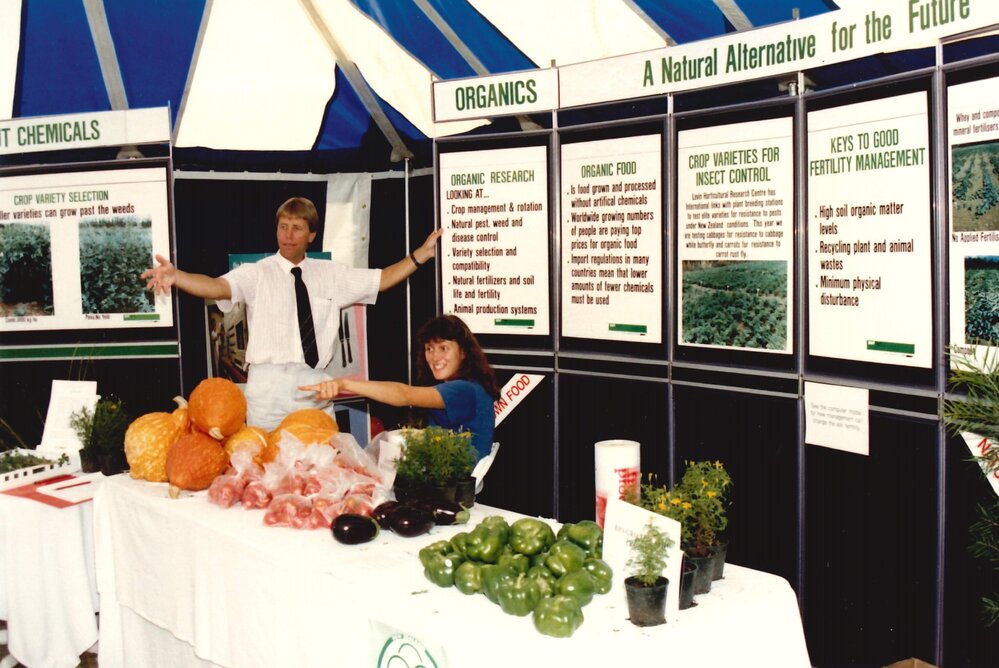 Field day pumpkins - 2 of 3