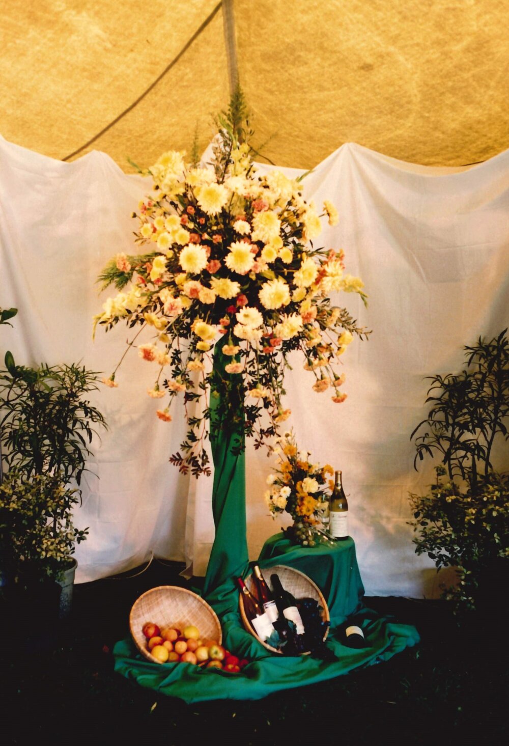 Masterton show - 1988 - 6 of 10