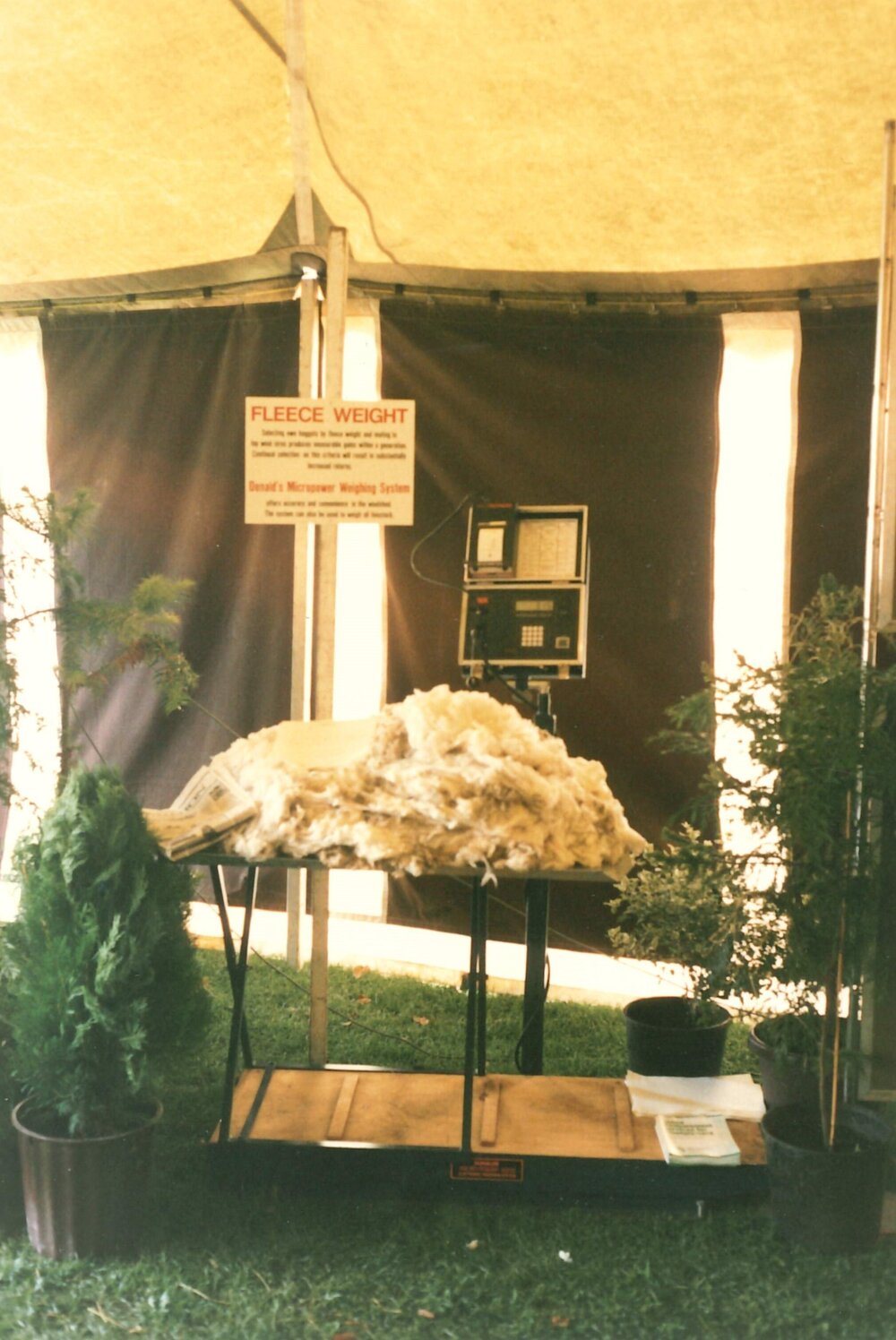 Masterton show - 1988 - 8 of 10