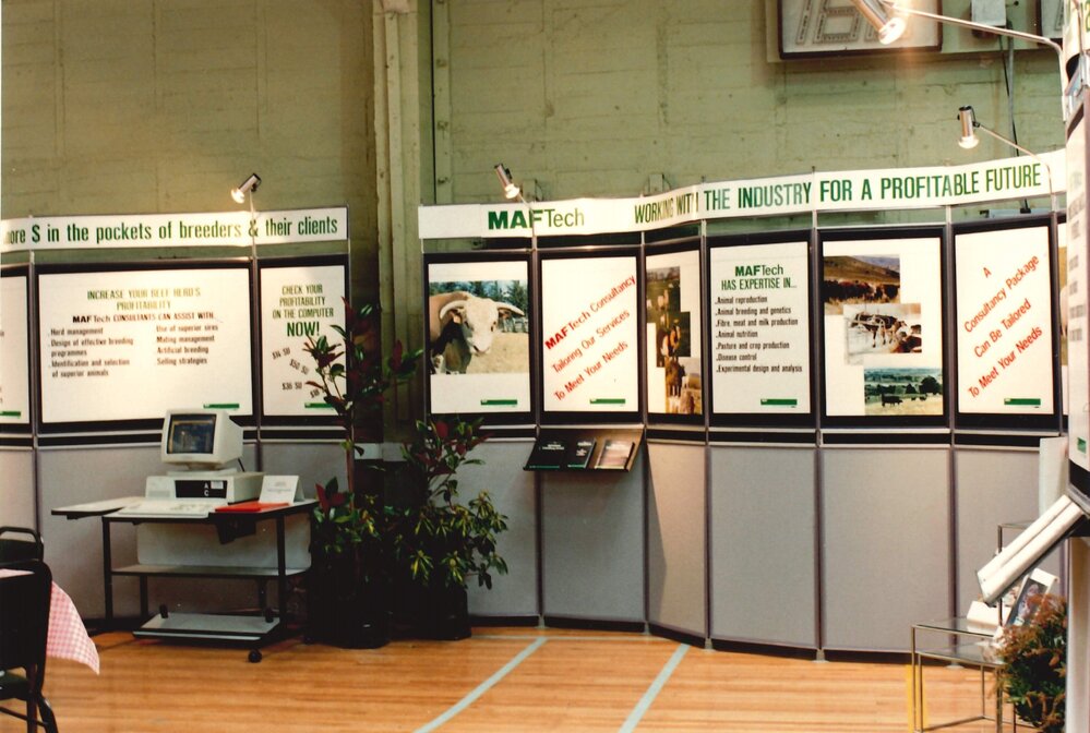 Beef Sale Week - 1 of 5