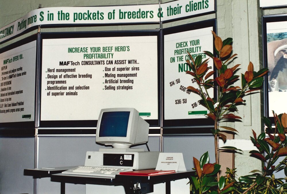 Beef Sale Week - 3 of 5