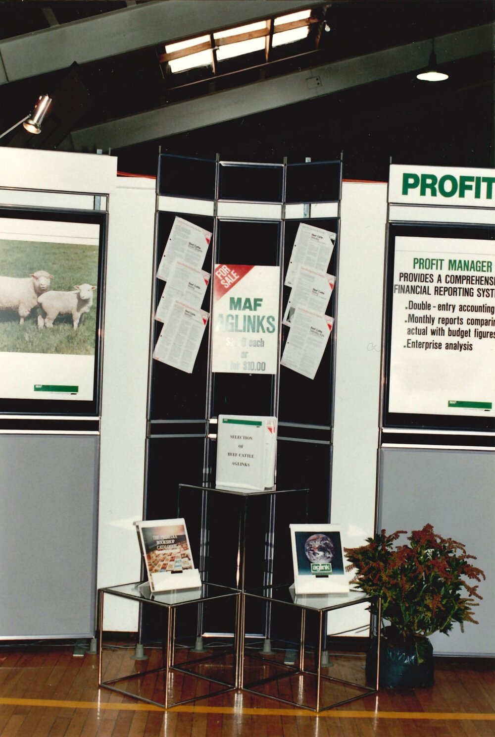 Beef Sale Week - 5 of 5