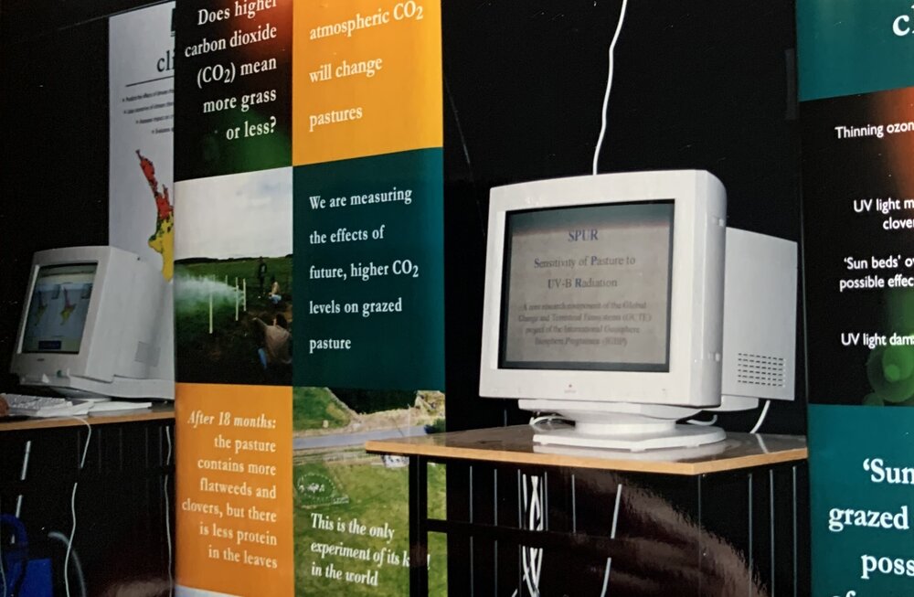 Mystery Creek - 2 of 4