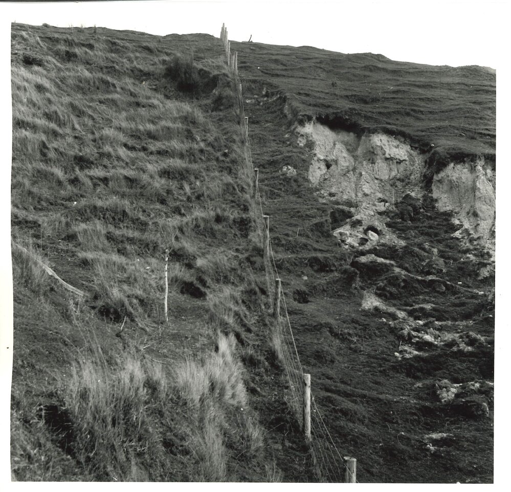 Slip sowing - 1 of 5