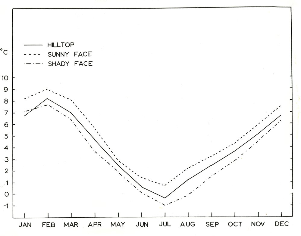 Ewes stocking the sunny and shady faces of paddocks along the Branch road - 2 of 4