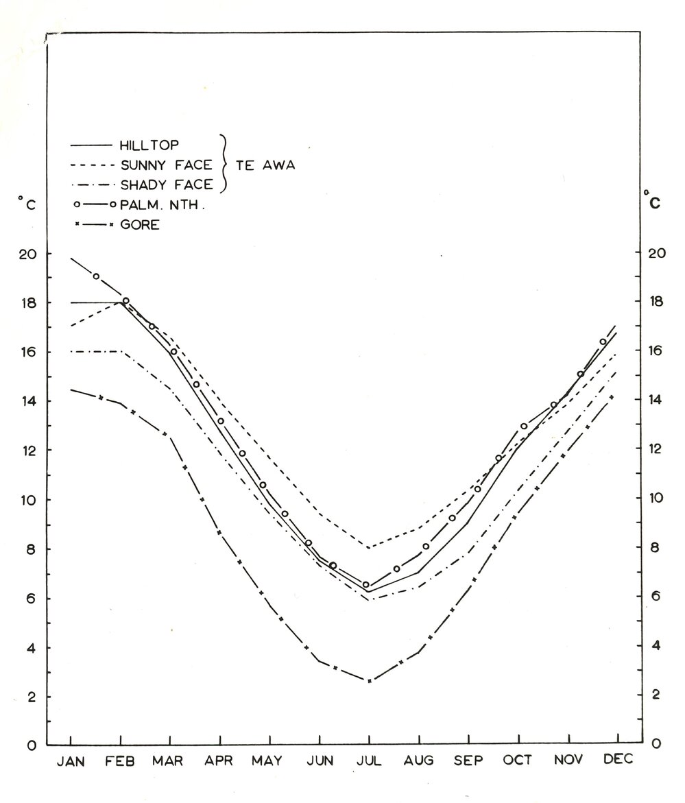 Ewes stocking the sunny and shady faces of paddocks - 3 of 4
