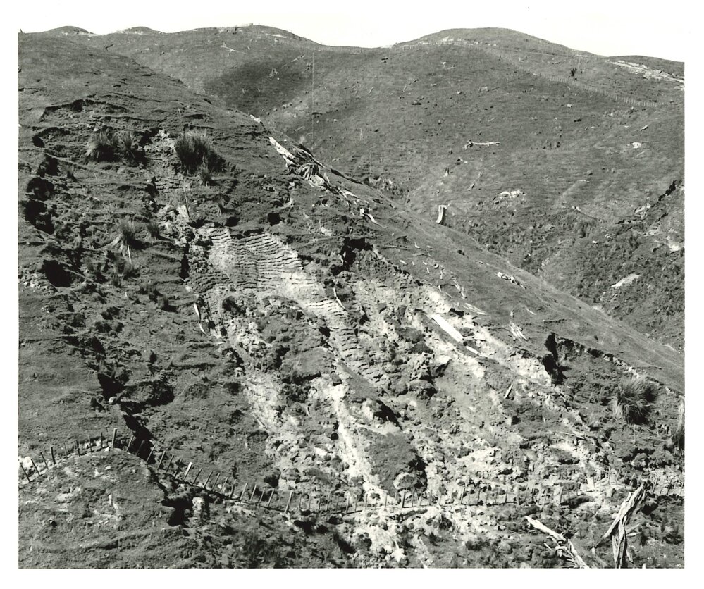 Slip sowing - 2 of 5