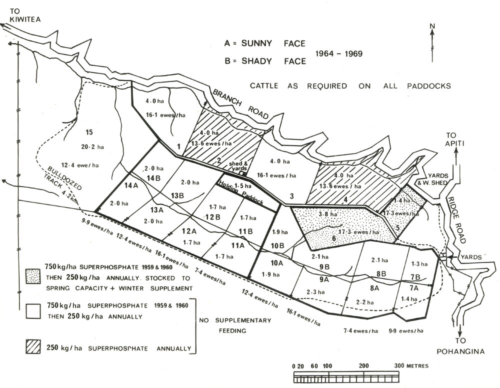 Ewes stocking the sunny and shady faces of paddocks along the Branch road - 1 of 4