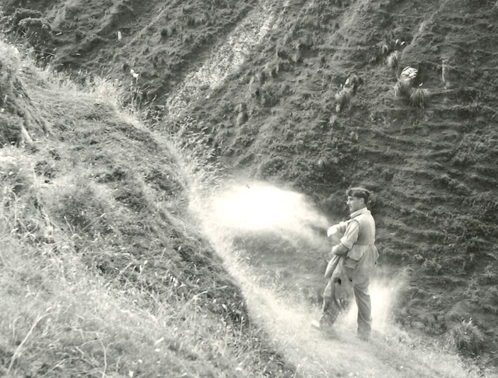 Slip sowing - 3 of 5