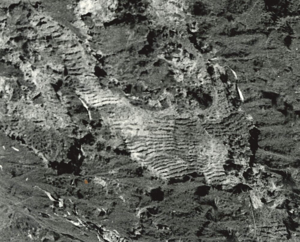 Slip sowing - 4 of 5