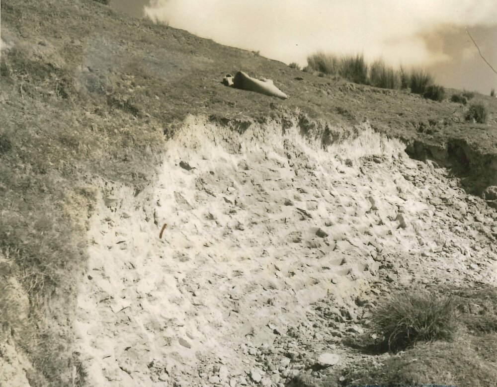 Slip sowing - 5 of 5