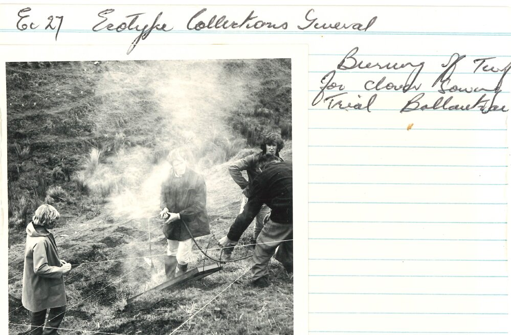 Burning of turf - 2 of 2