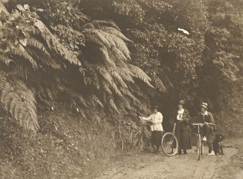 Cyclists on bush track