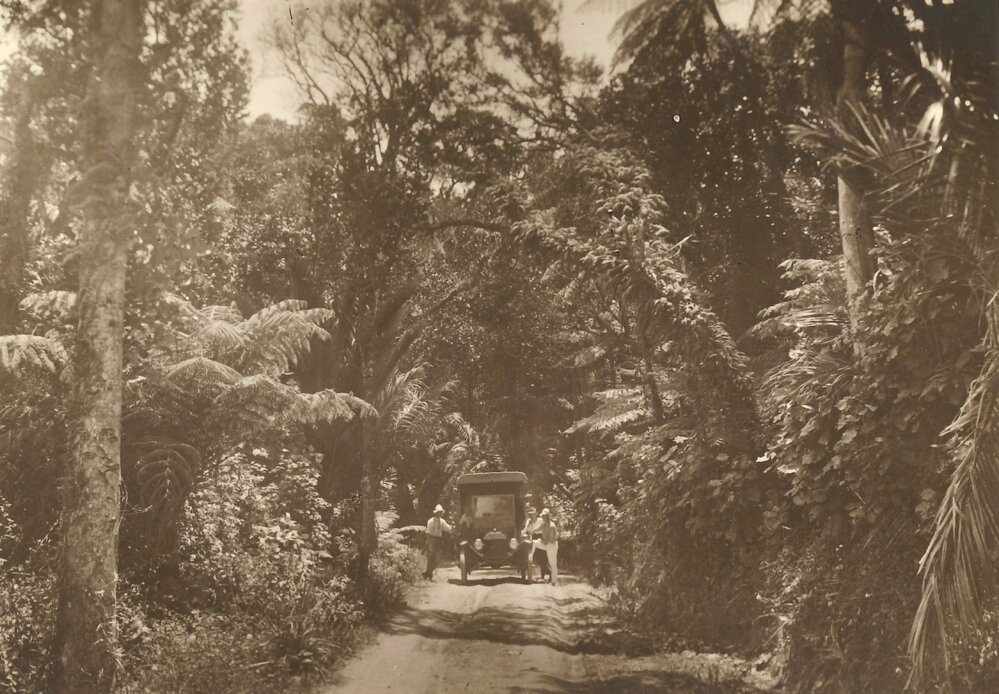 Car on bush track