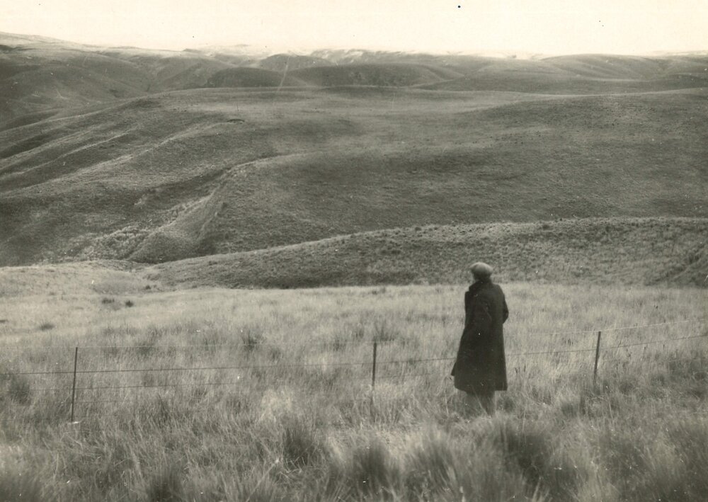 Person viewing landscape