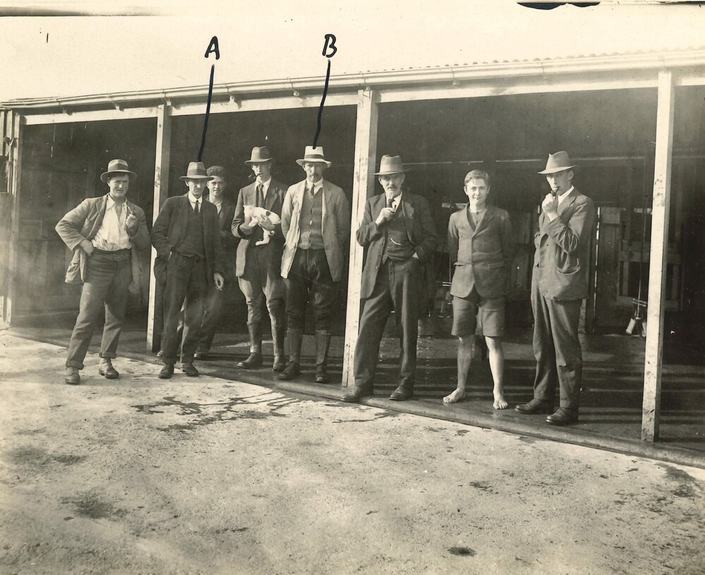 Men standing in a milking shed