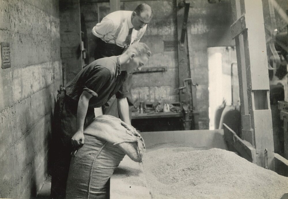 Certified seed - 7 of 11