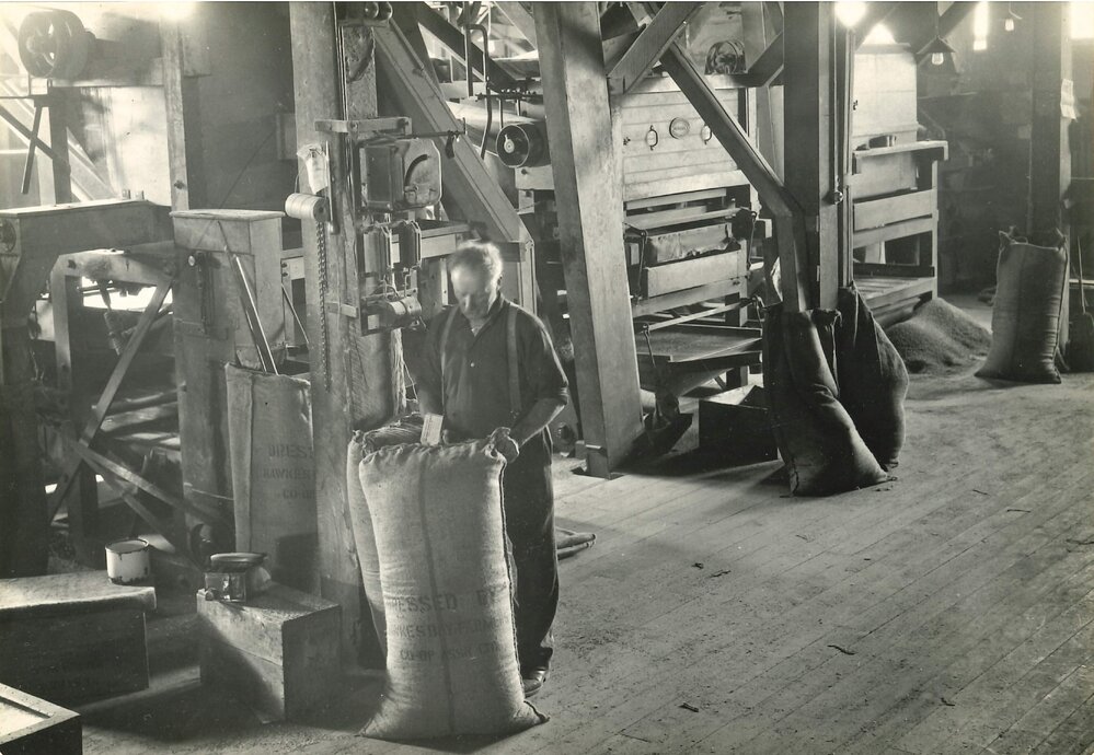 Certified seed - 9 of 11