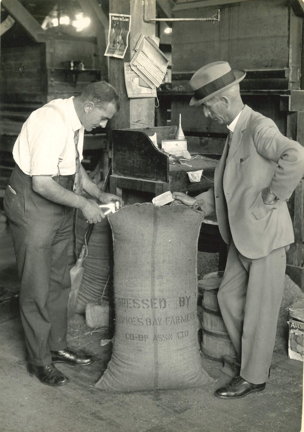 Certified seed - 10 of 11