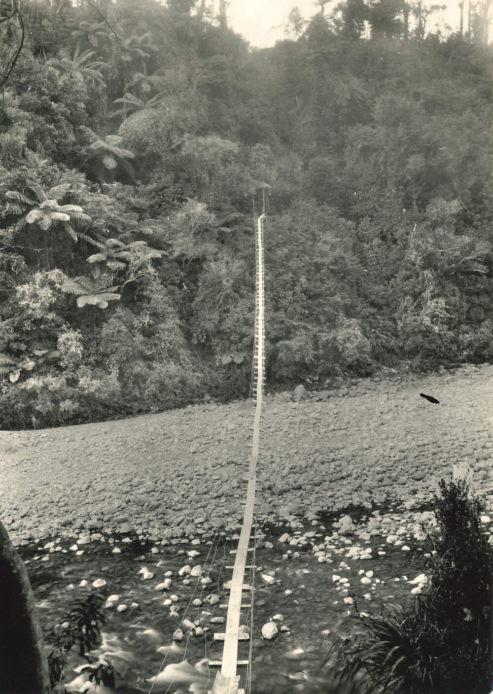 Otaki - swing suspension bridge