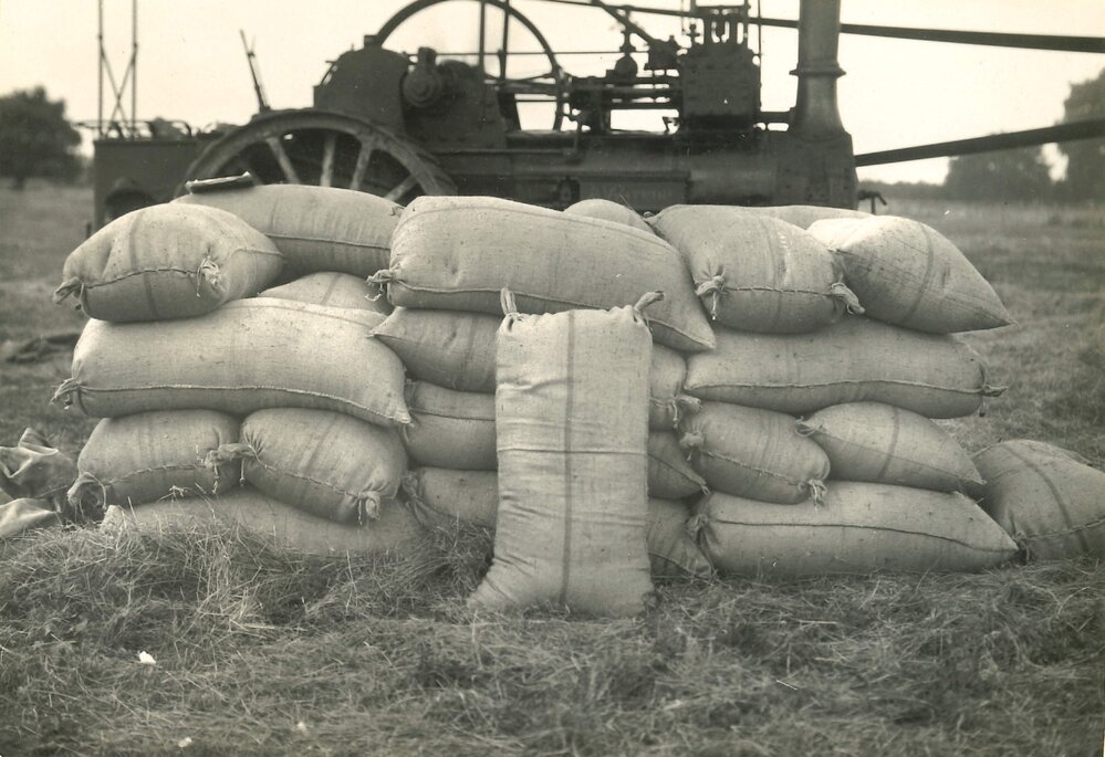 Certified seed - 3 of 11