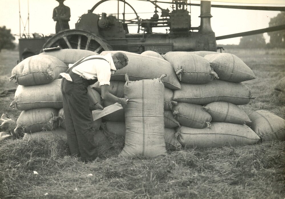 Certified seed - 2 of 11