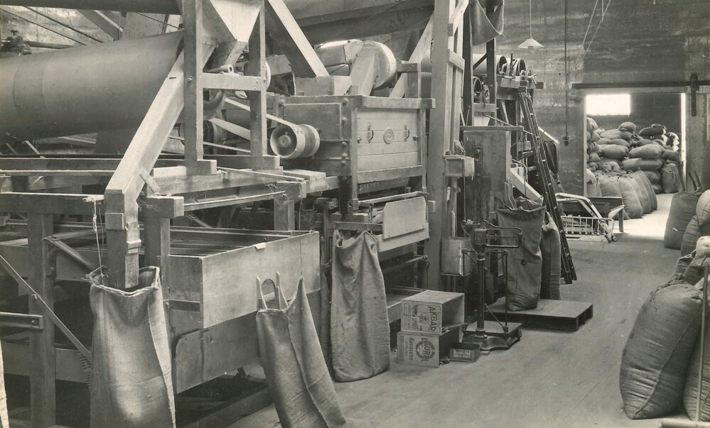 Certified seed - 5 of 11