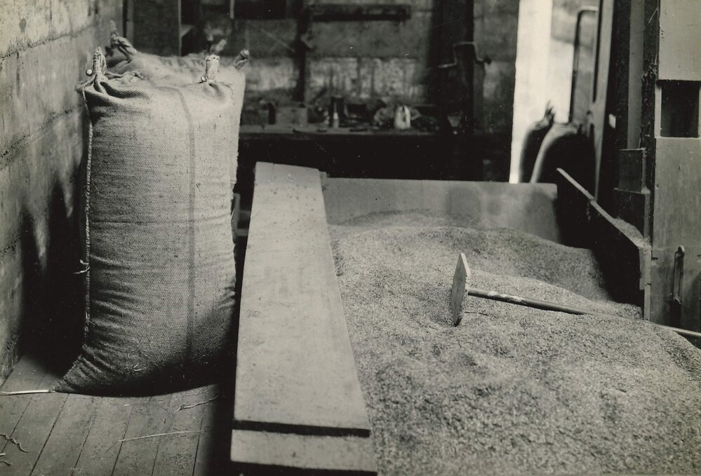 Certified seed - 8 of 11