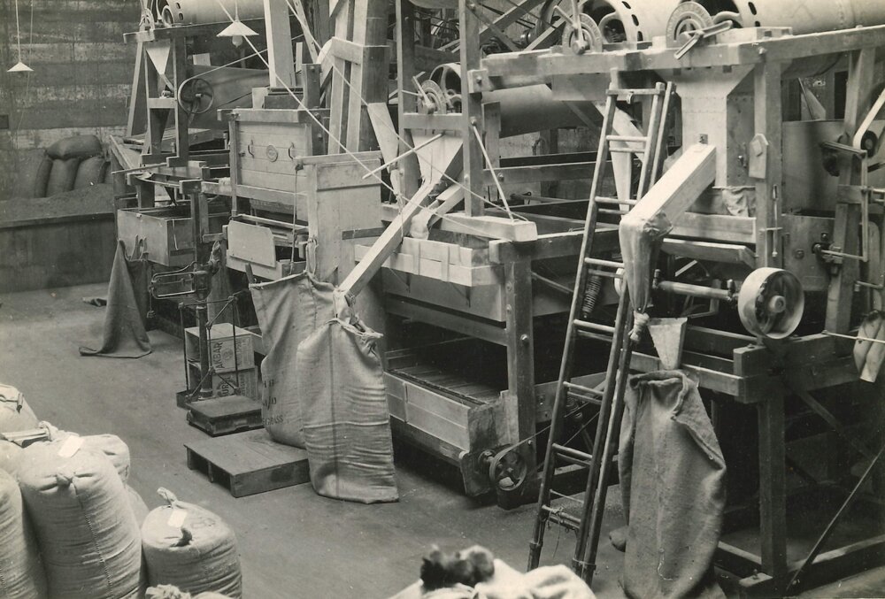 Certified seed - 6 of 11