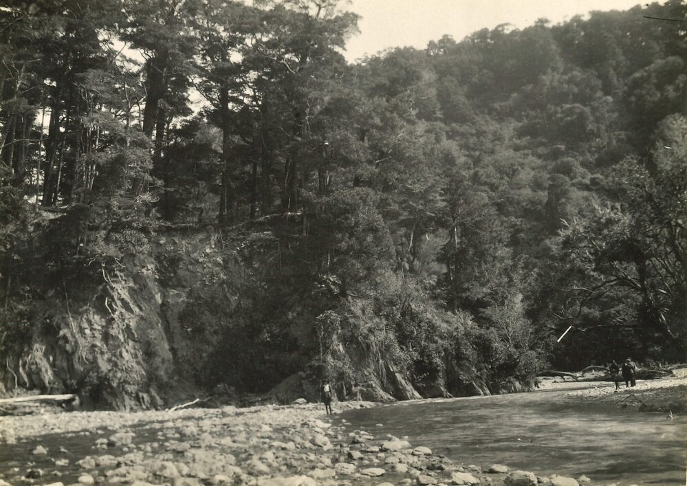 Landscape near Wellington