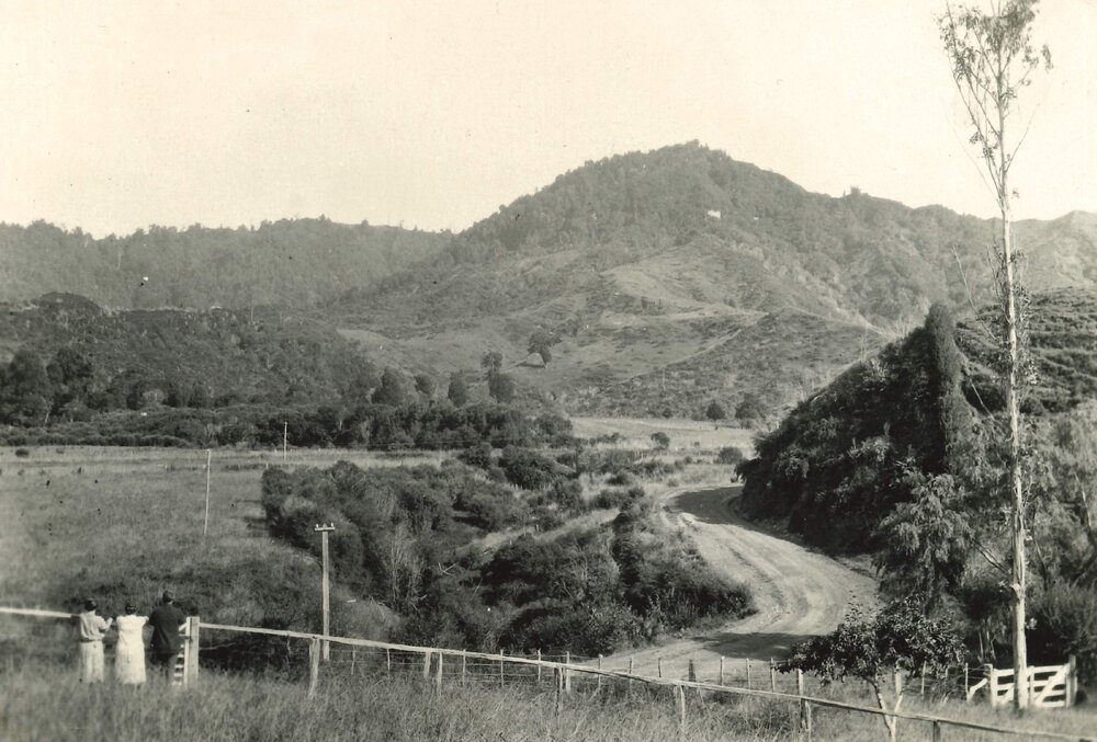 Landscape - country road