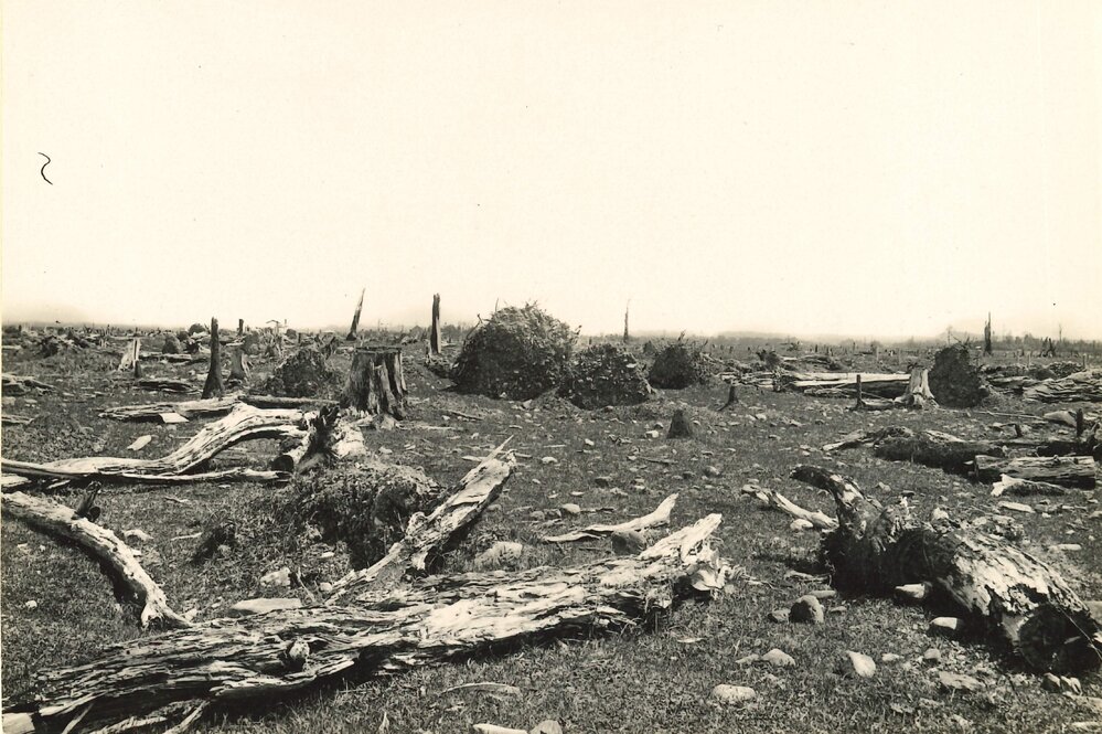 Otaki stoney country