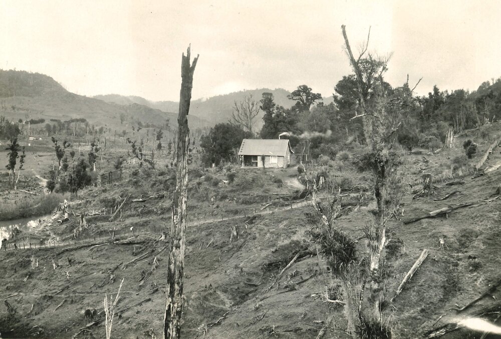 Settlers home in North Taranaki