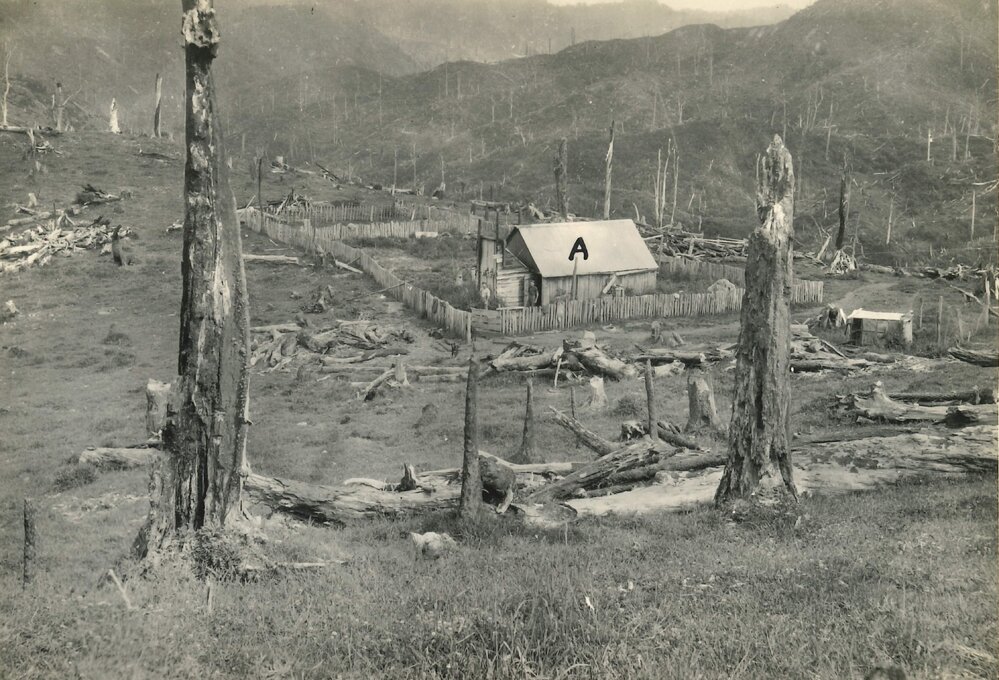 Whare - 1920