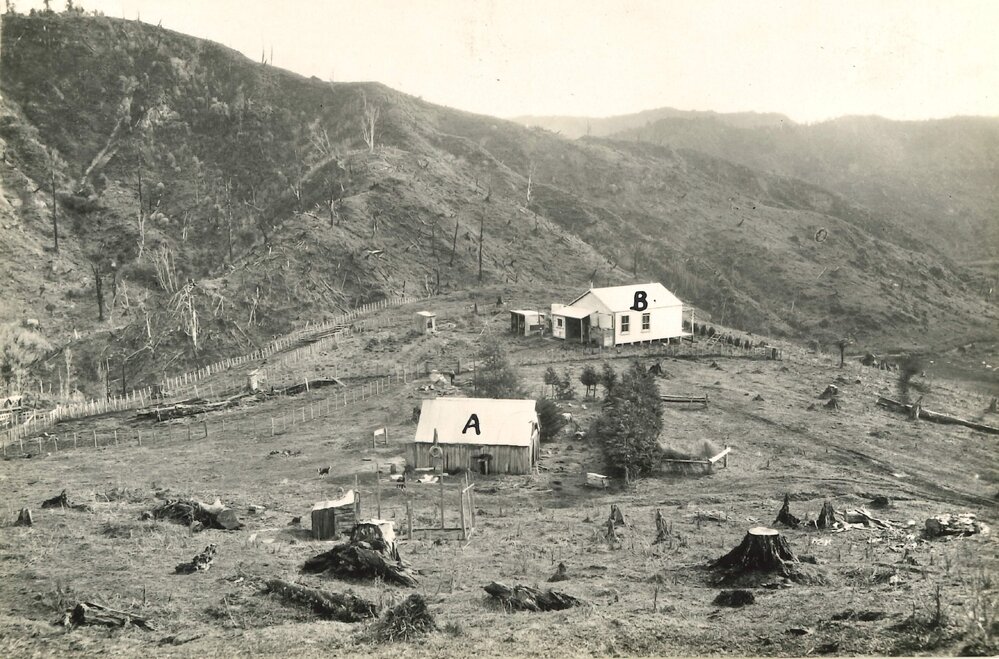 Whanga - 1929