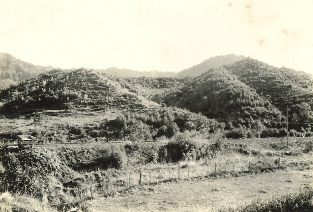 Manuka - Gordon's Spur