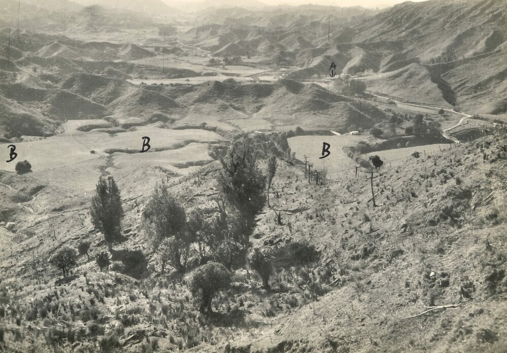 Whanga - general view