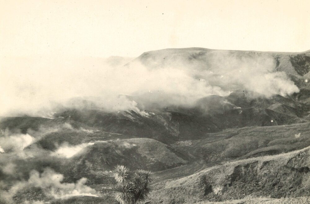 Tutira - burning scrub