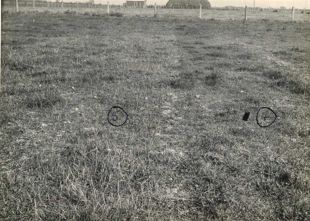 Junction plots - 1 of 2