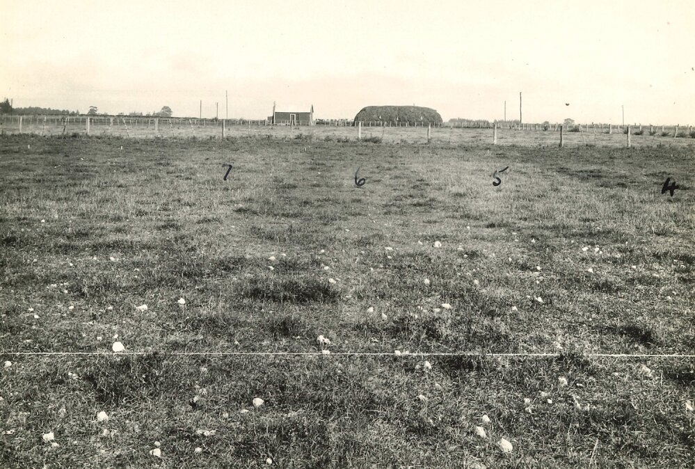 Junction plots - 2 of 2