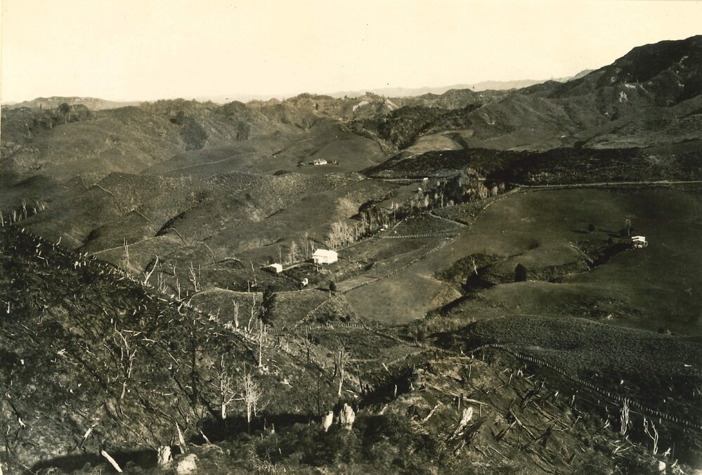 Typical Whanga country