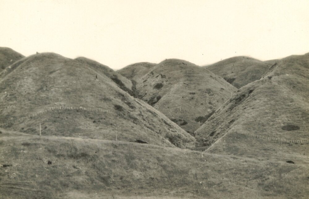 Paekakariki - contours