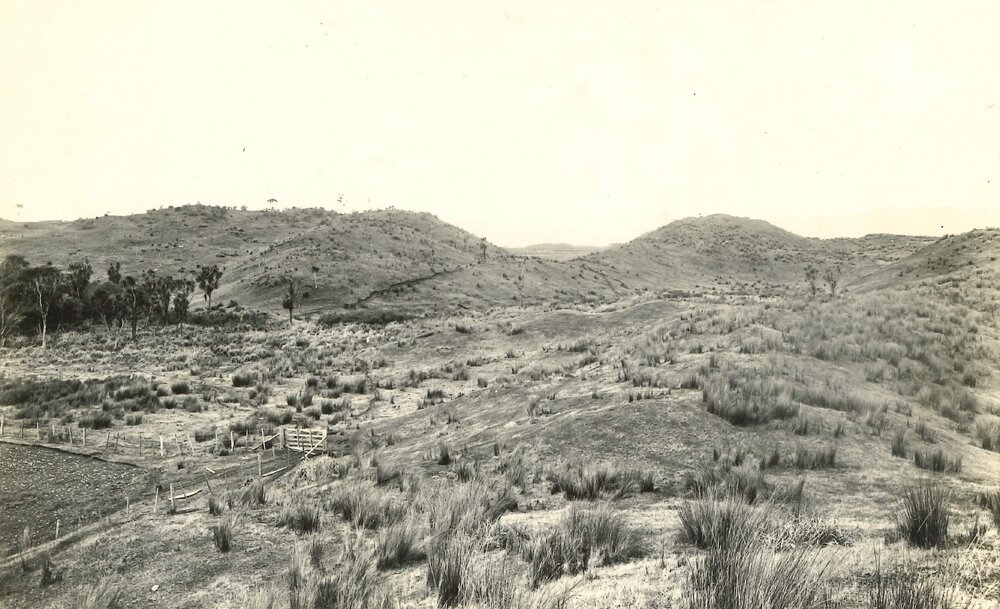 Stabilised sandhill country