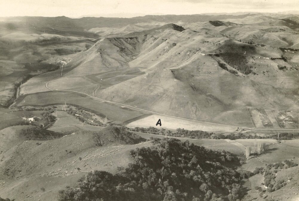 Taihape - typical landscape