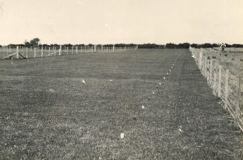 Hudson - mowing technique