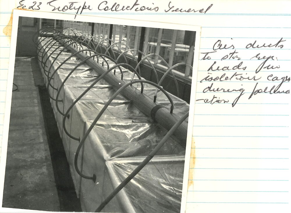 Ec 23 - Ecotype collection 