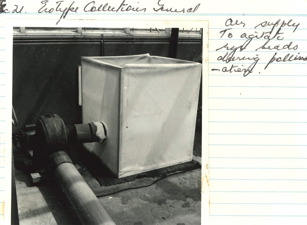 Ec 21 - Ecotype collection