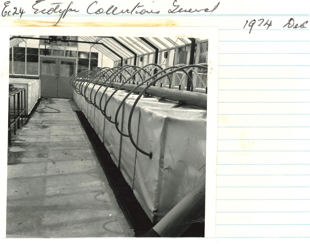 Ec 24 - Ecotype collection