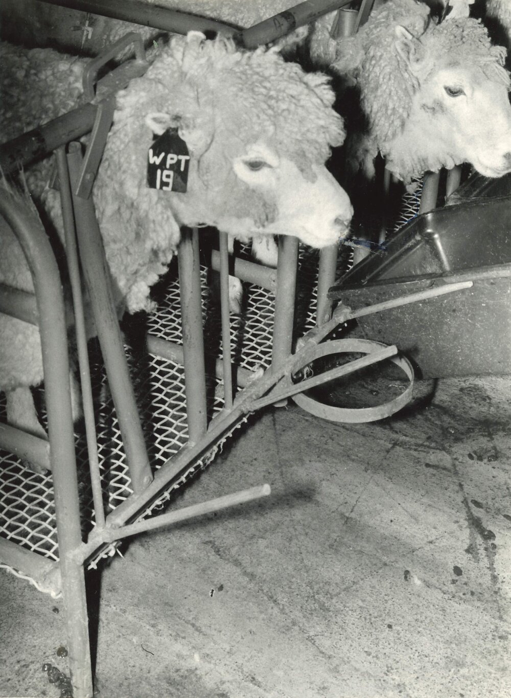 Engineering Workshop - 10A/51/5