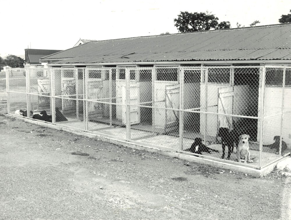Dog kennels